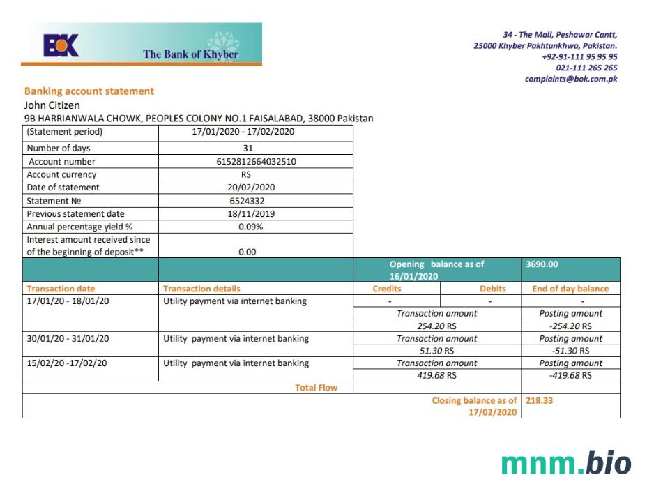 Pakistan Standard Chartered Bank statement szablon Worda i PDF